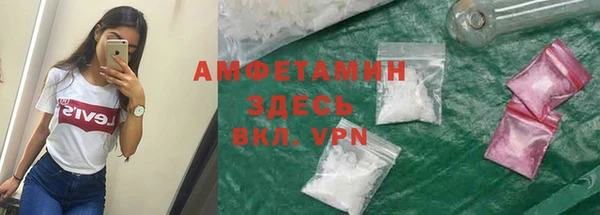 крисы Медвежьегорск