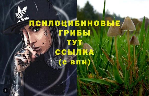 jwh Арсеньев