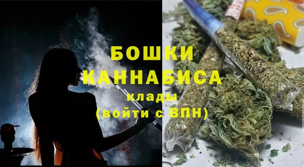 дмт Медногорск