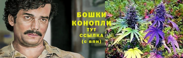 крисы Медвежьегорск