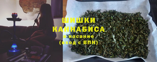 крисы Медвежьегорск