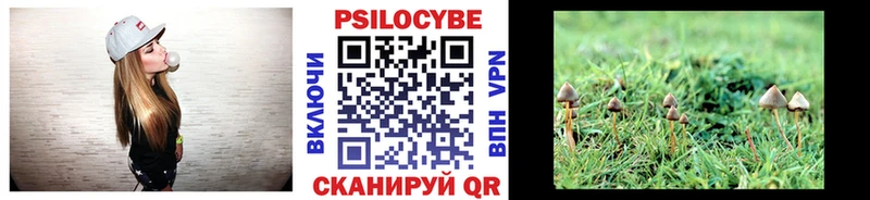сколько стоит Керчь Псилоцибиновые грибы мухоморы