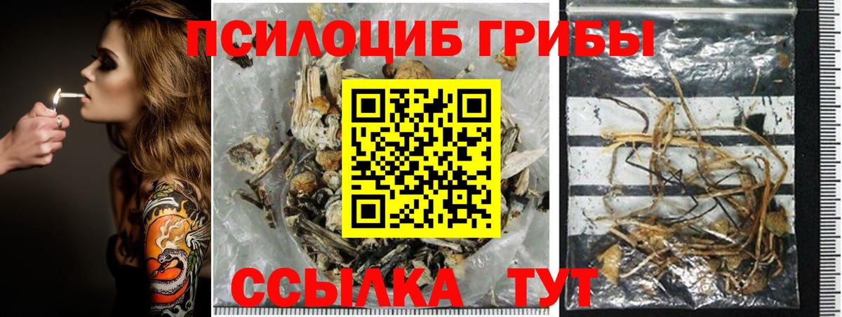 что такое наркотик  Псилоцибиновые грибы ЛСД  Вход с VPN  Керчь 